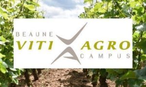 Logo Beaune Viti Agro Campus