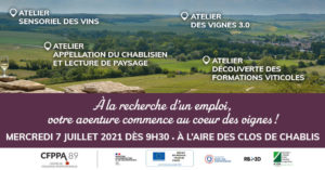 Ateliers découverte des métiers de la vigne et du vin