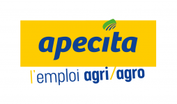 LOGO APECITA RVB